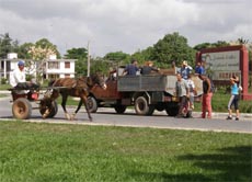 田舎では一般的な乗り物・馬車とトラック